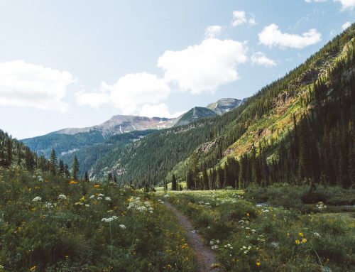 Top Guide to Moving to Colorado