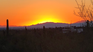 Marie Raines Realtor place picture